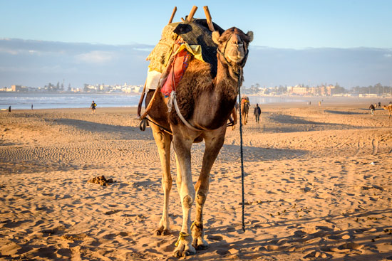 agadir