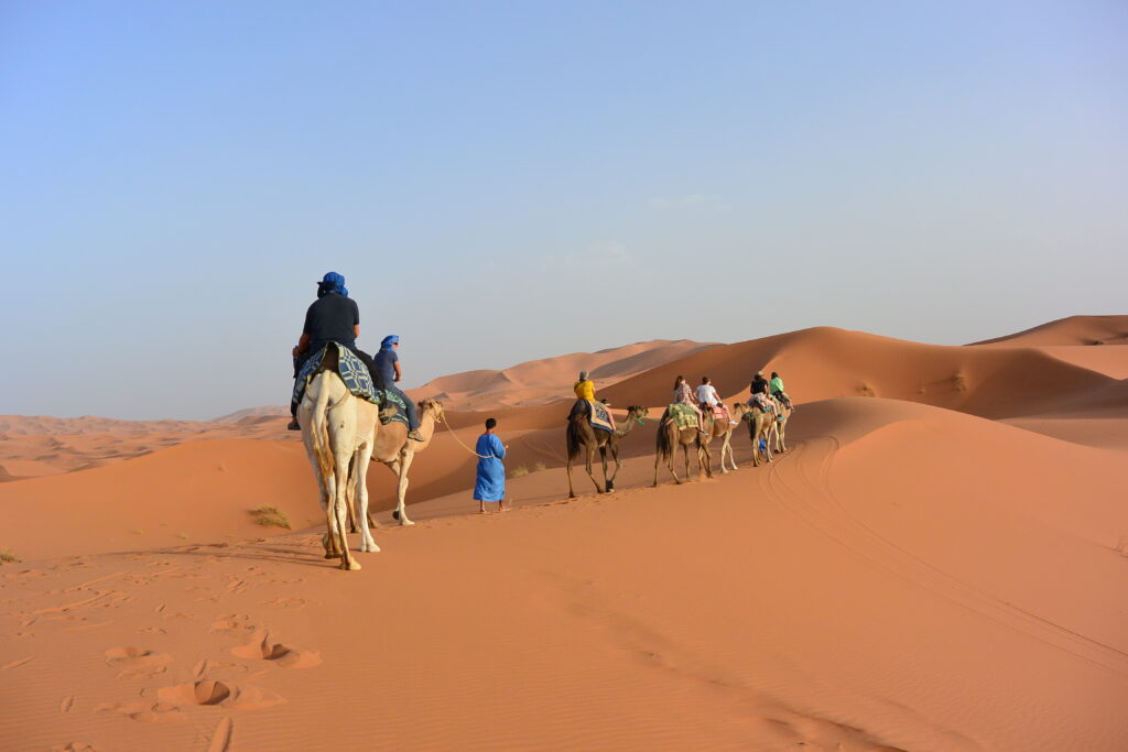 merzouga activities